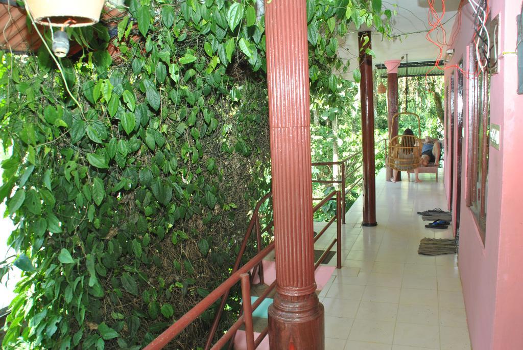 Jungleparadiso Homestay Thekkady Kültér fotó