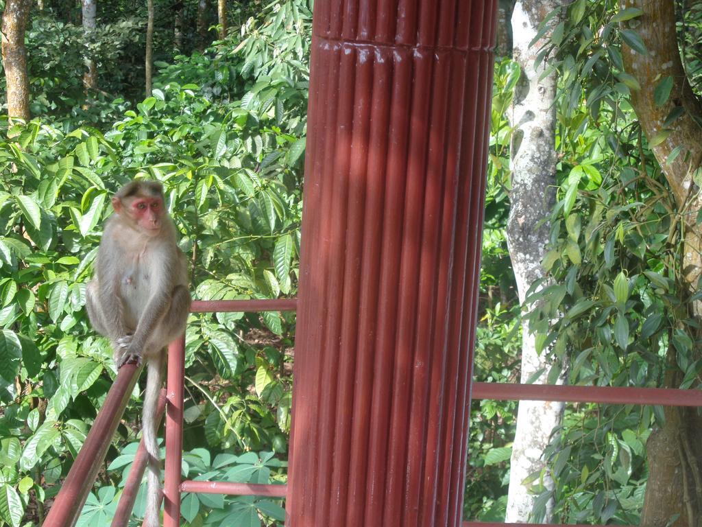 Jungleparadiso Homestay Thekkady Kültér fotó