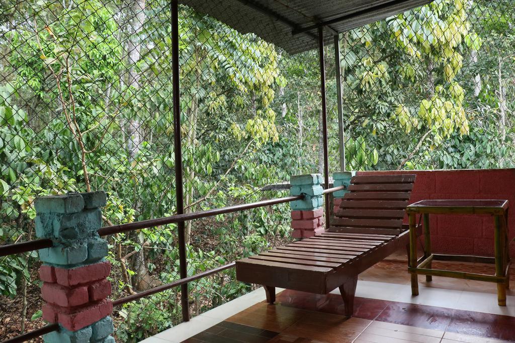 Jungleparadiso Homestay Thekkady Kültér fotó