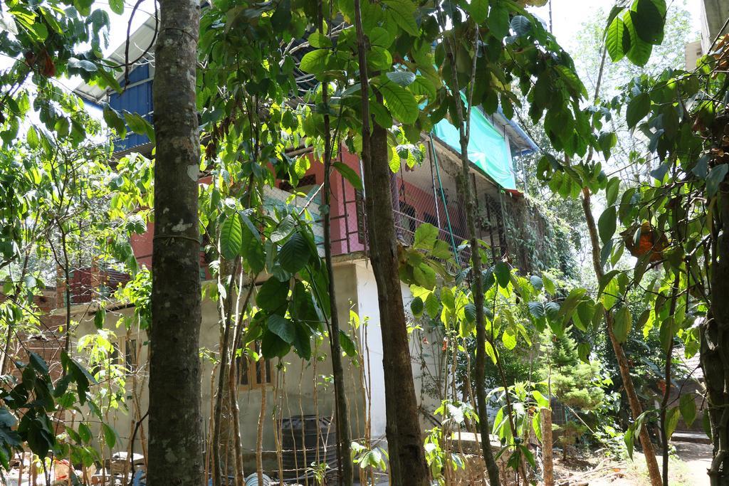 Jungleparadiso Homestay Thekkady Kültér fotó
